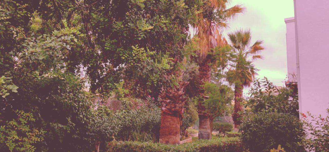 Cantinho Azul - Tavira Garden Dış mekan fotoğraf